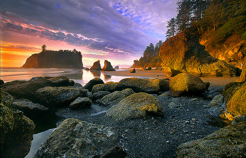 Национальный Парк Олимпик (Olympic)